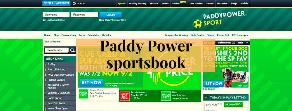 what is paddy power