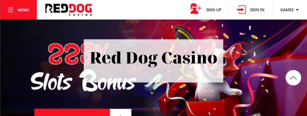 Red Dog Casino site detailed overview in India